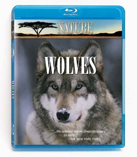 その他 Nature: Wolves [Blu-ray] Nature: Wolves [Blu-ray]