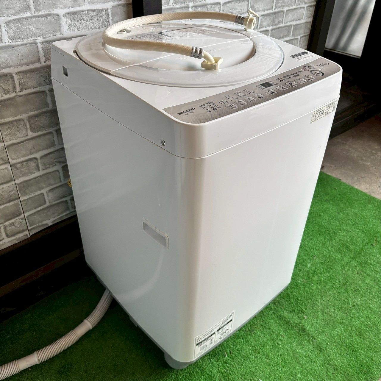 SHARP シャープ 2024年製 洗濯機 7.0kg 美品 ホワイト ゴールド 白 