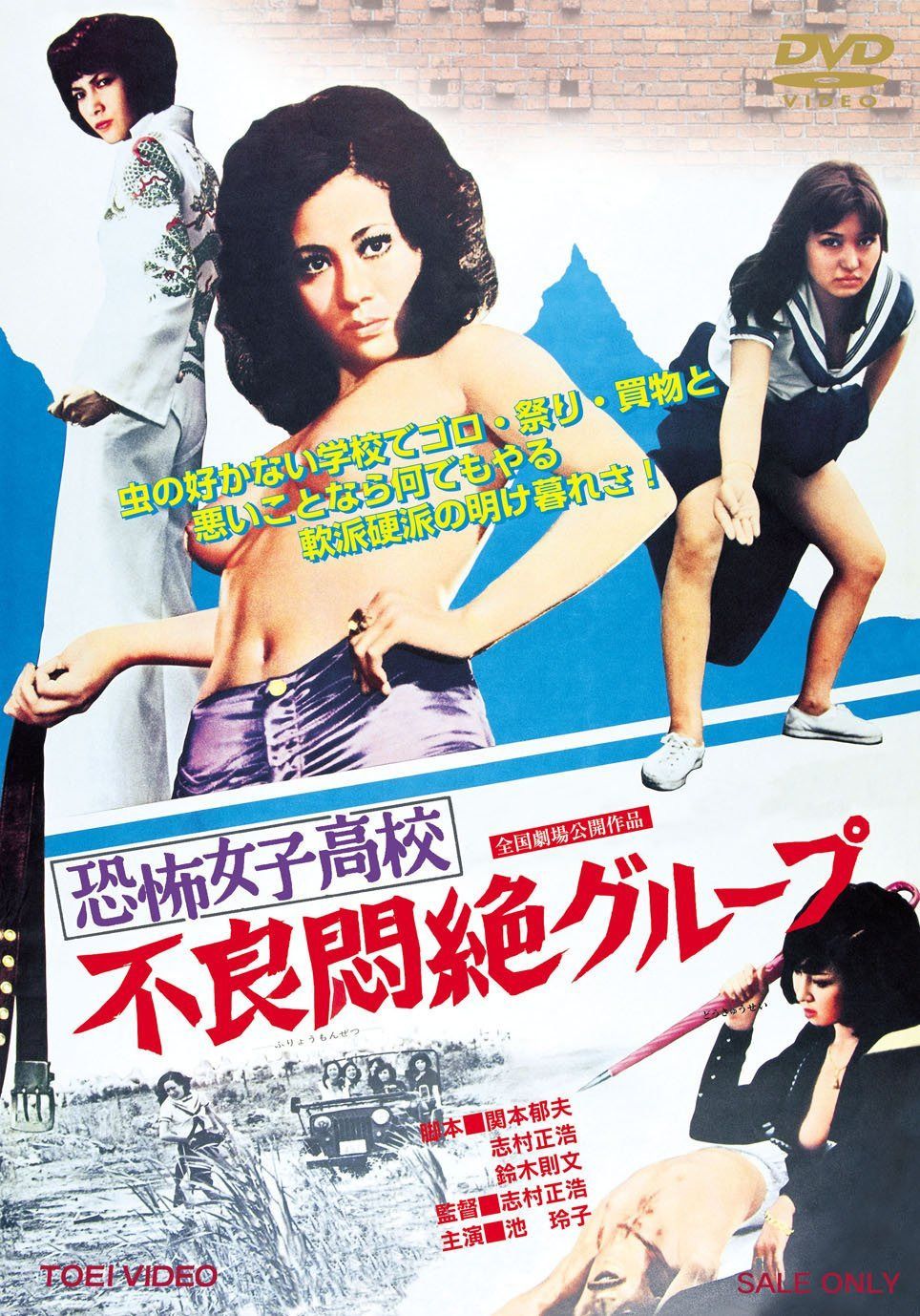 恐怖女子高校 不良悶絶グループ [DVD]