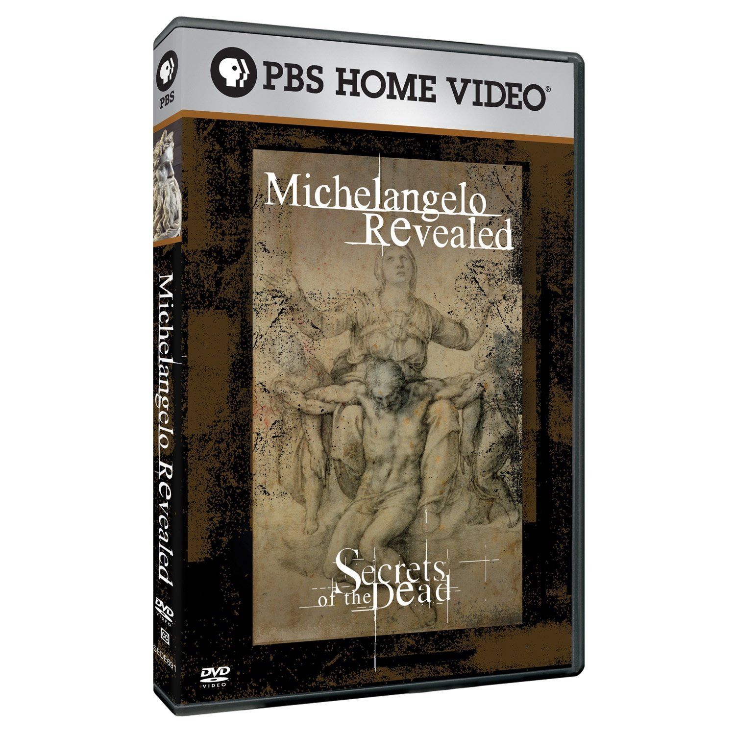 Secrets of the Dead: Michelangelo Revealed [DVD]