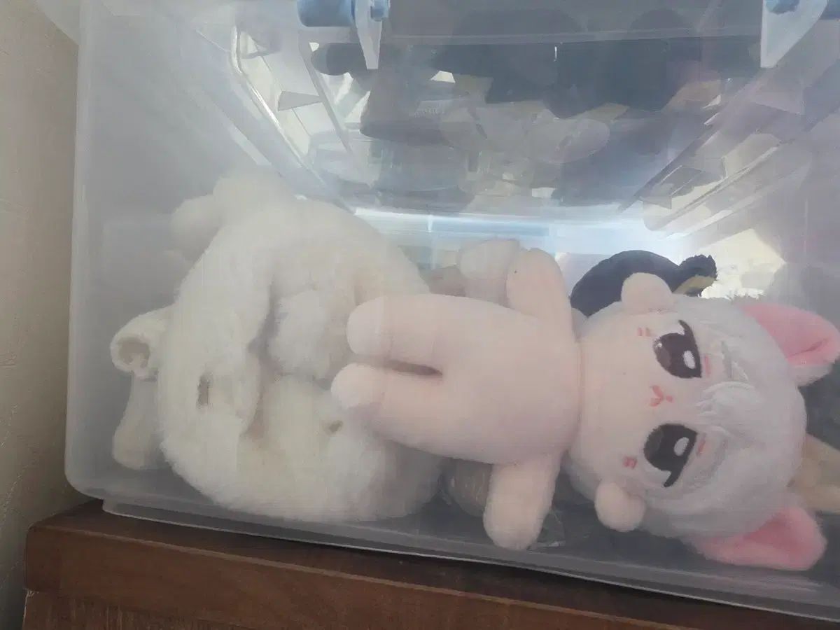 デビューできないと死ぬ病気にかかってしまいました シゴル ぬいぐるみ まとめ TeSTAR 全種
