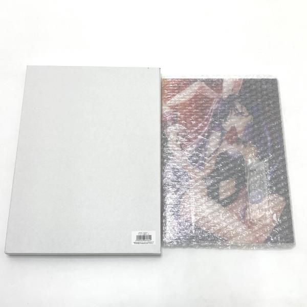 中古】【開封】速川六花 描き下ろしA4アクリルパネル 「anemoi