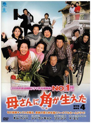 母さんに角が生えた　DVD-BOX4