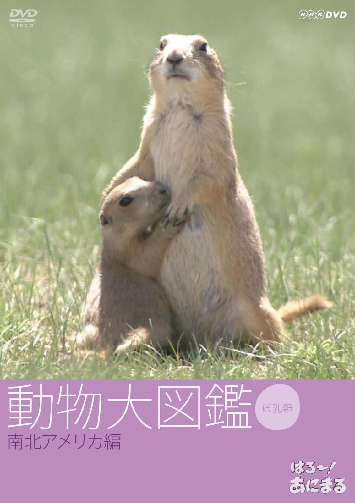 はろ~!あにまる 動物大図鑑 5 南北アメリカ編 [DVD]