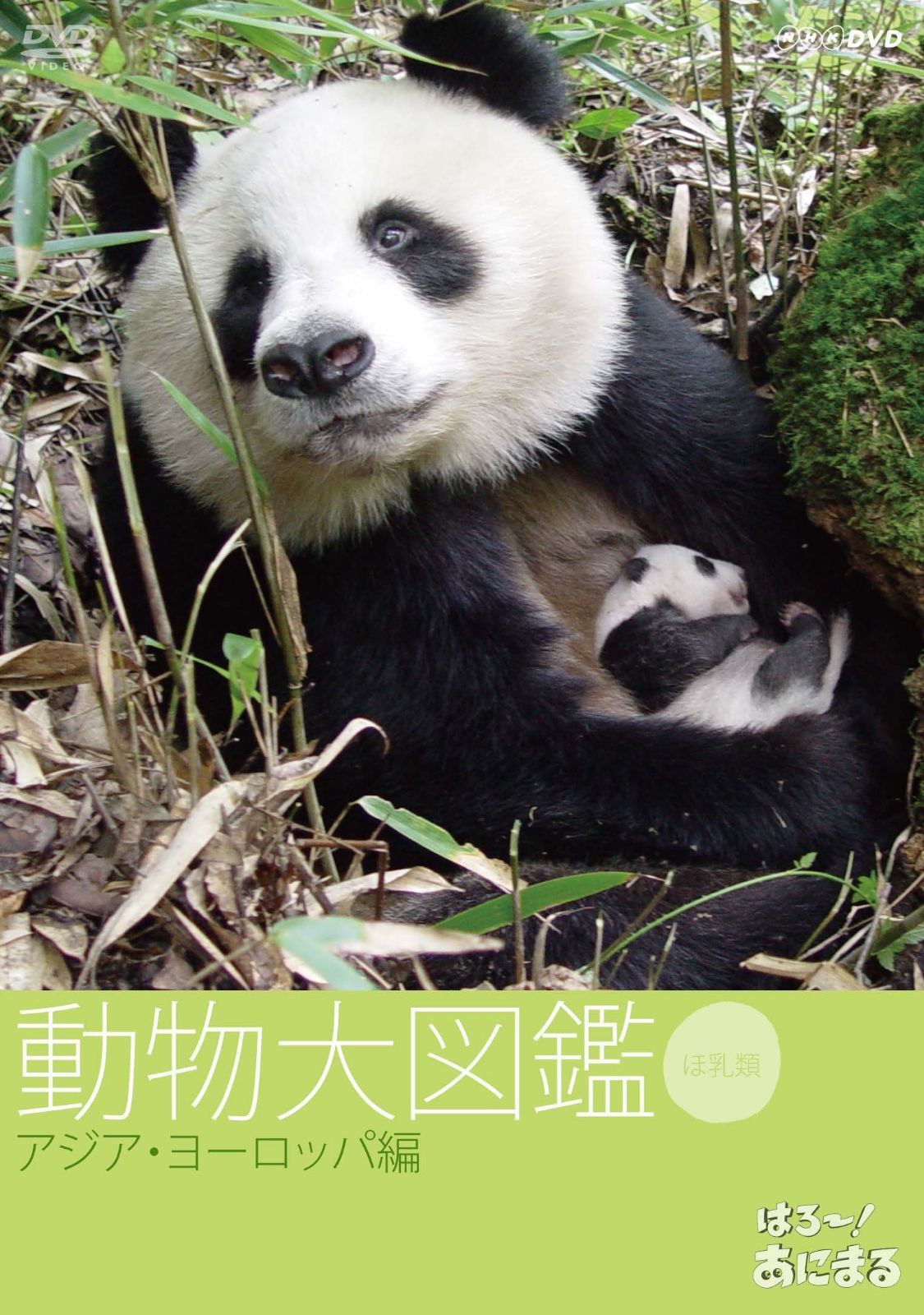 はろ~!あにまる 動物大図鑑 4 アジア・ヨーロッパ編 [DVD]