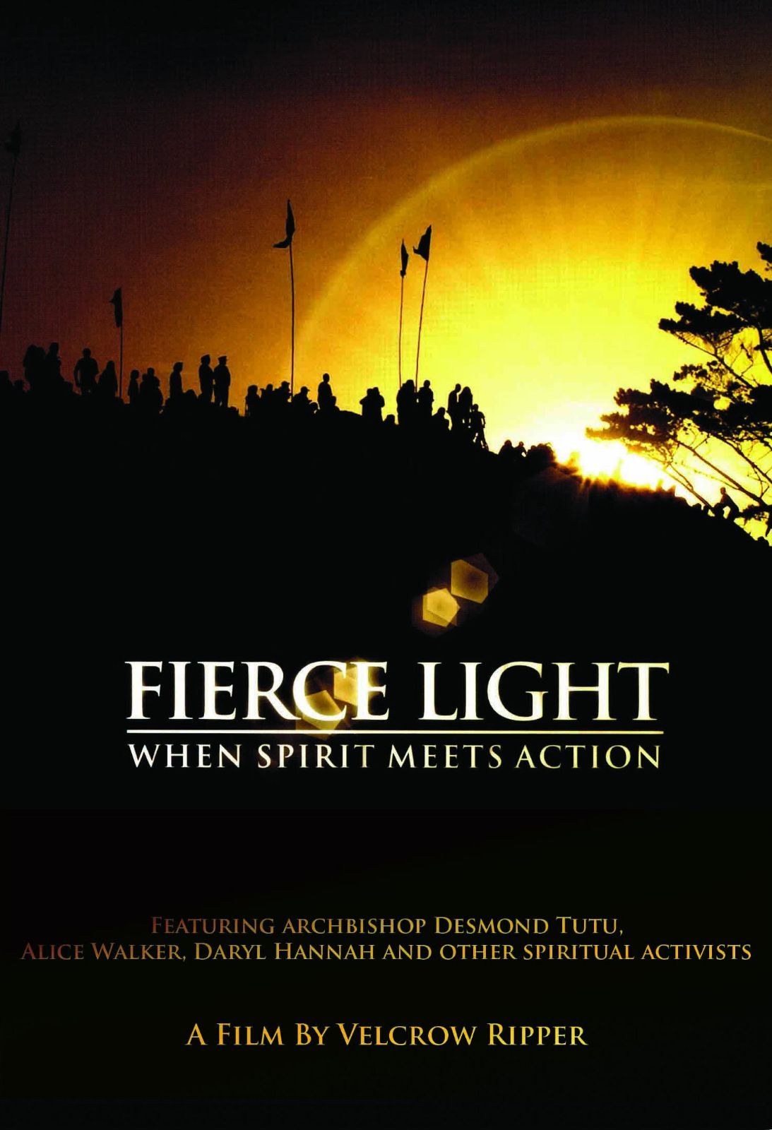 Fierce Light: When Spirit Meets Action [DVD] [Import]