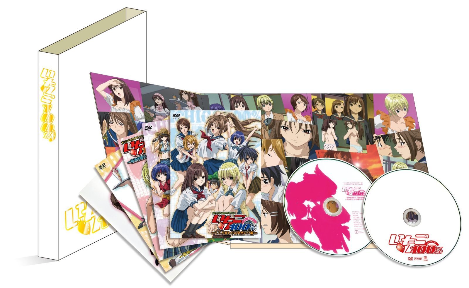 オリジナルDVDアニメ いちご100% DVD-BOX 11,072円