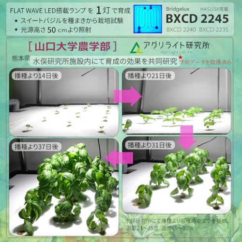 HaruDesign 植物育成ライト HASU38 spec9 6K ブラックスワールボディ 白色系(5800K)フラットウェーブLED搭載 広角反射板付き フルスペクトル フリッカーフリー 製品3年保証★m 55fd211c HaruDesign 植物育成ライト HASU38 spec9 6K ブラックスワールボディ 白色系(5800K)フラットウェーブLED搭載 広角反射板付き フルスペクトル フリッカーフリー 製品3年保証★m 55fd211c