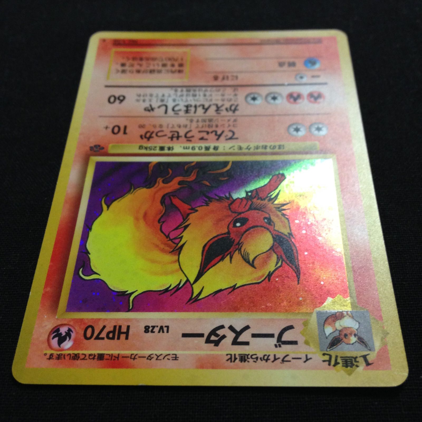 ブースター 旧裏 ポケカ ポケモンカード 第2弾 拡張パック ポケモンジャングル