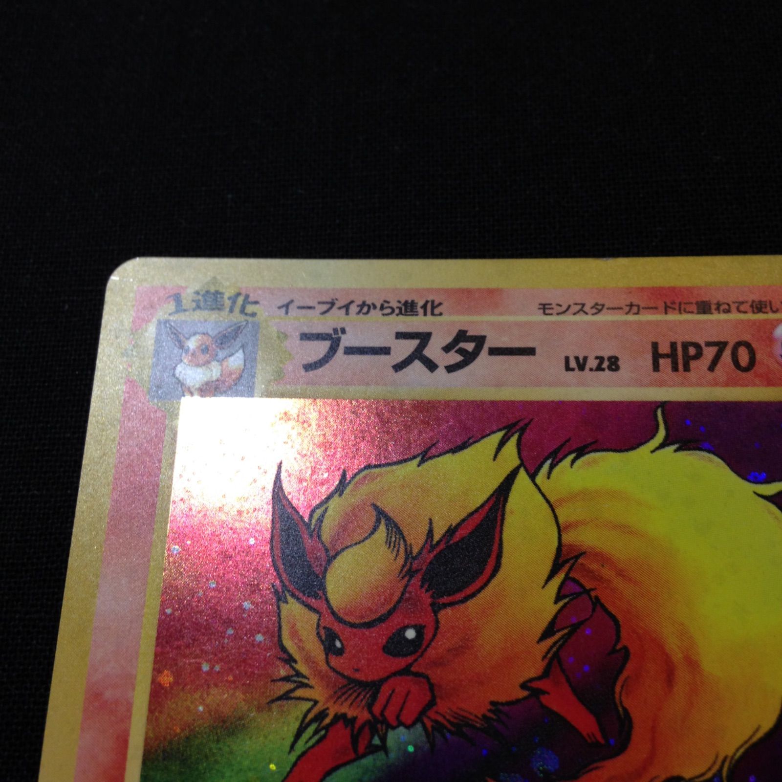 ブースター 旧裏 ポケカ ポケモンカード 第2弾 拡張パック ポケモンジャングル