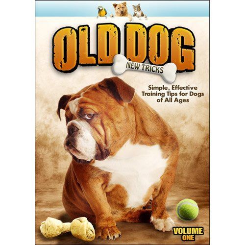 Old Dog New Tricks 1 [DVD]