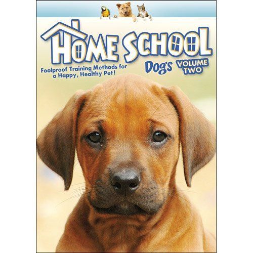 Home School: Dogs 2 [DVD]
