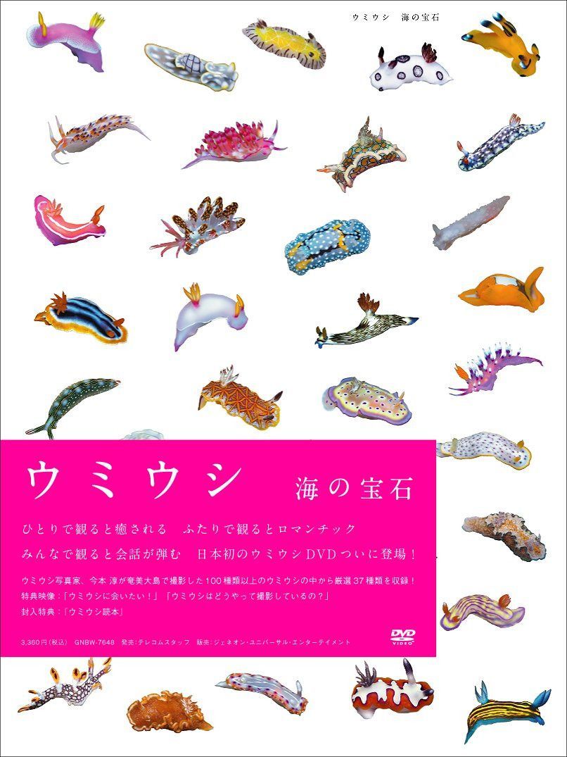 ウミウシ 海の宝石 [DVD]