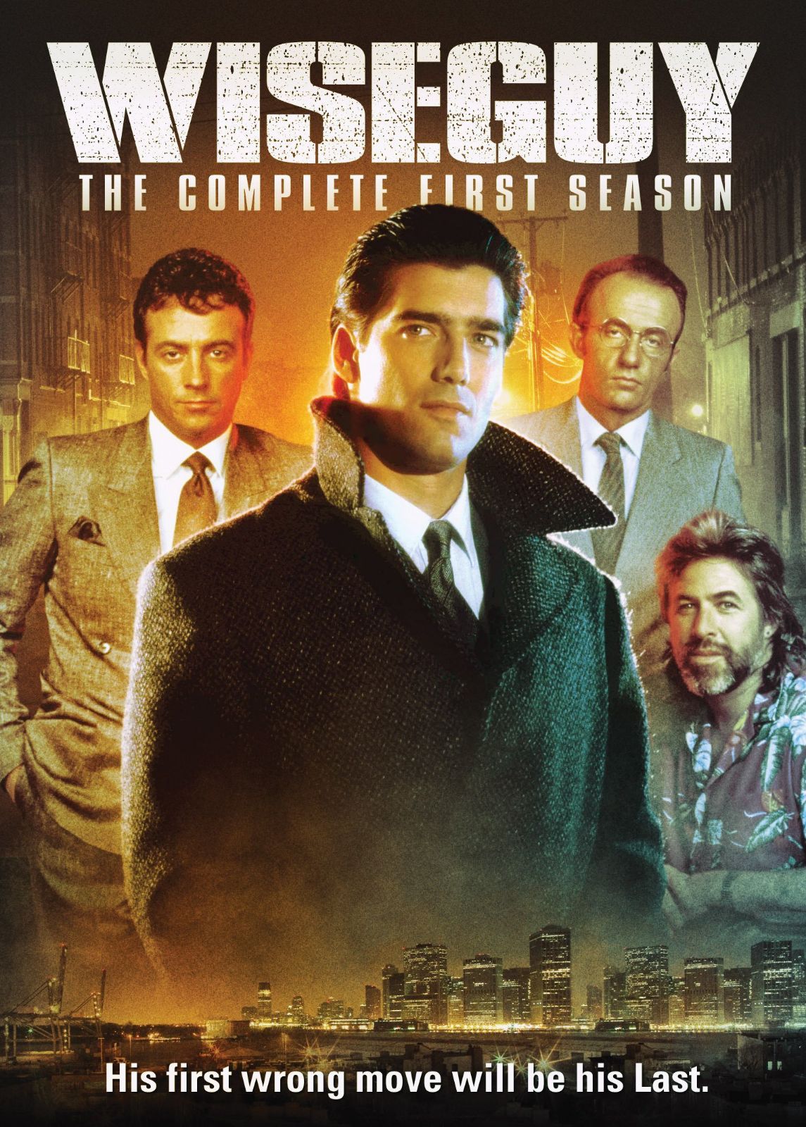 Wiseguy: Complete First Season [DVD]
