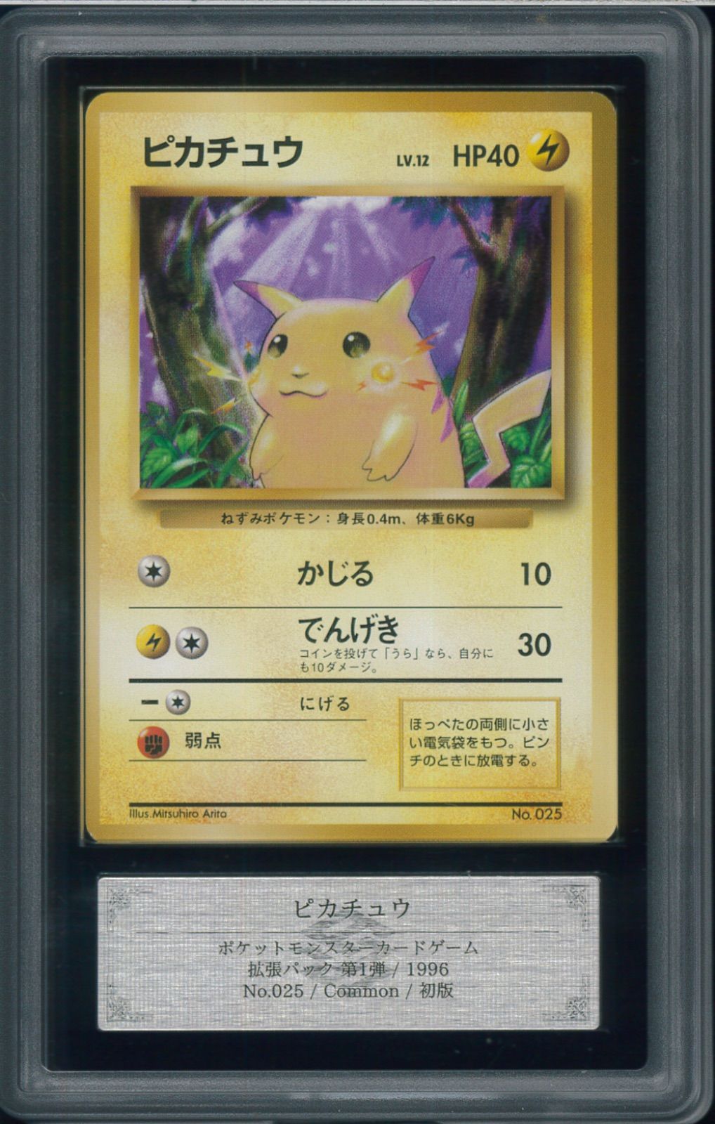 ARS10 ピカチュウ 初版 LV12 かじる 旧裏 pikachu oldback No.25
