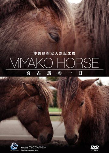 沖縄県指定天然記念物・宮古馬の一日 [DVD]