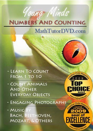 Young Minds Numbers & Counting [DVD]