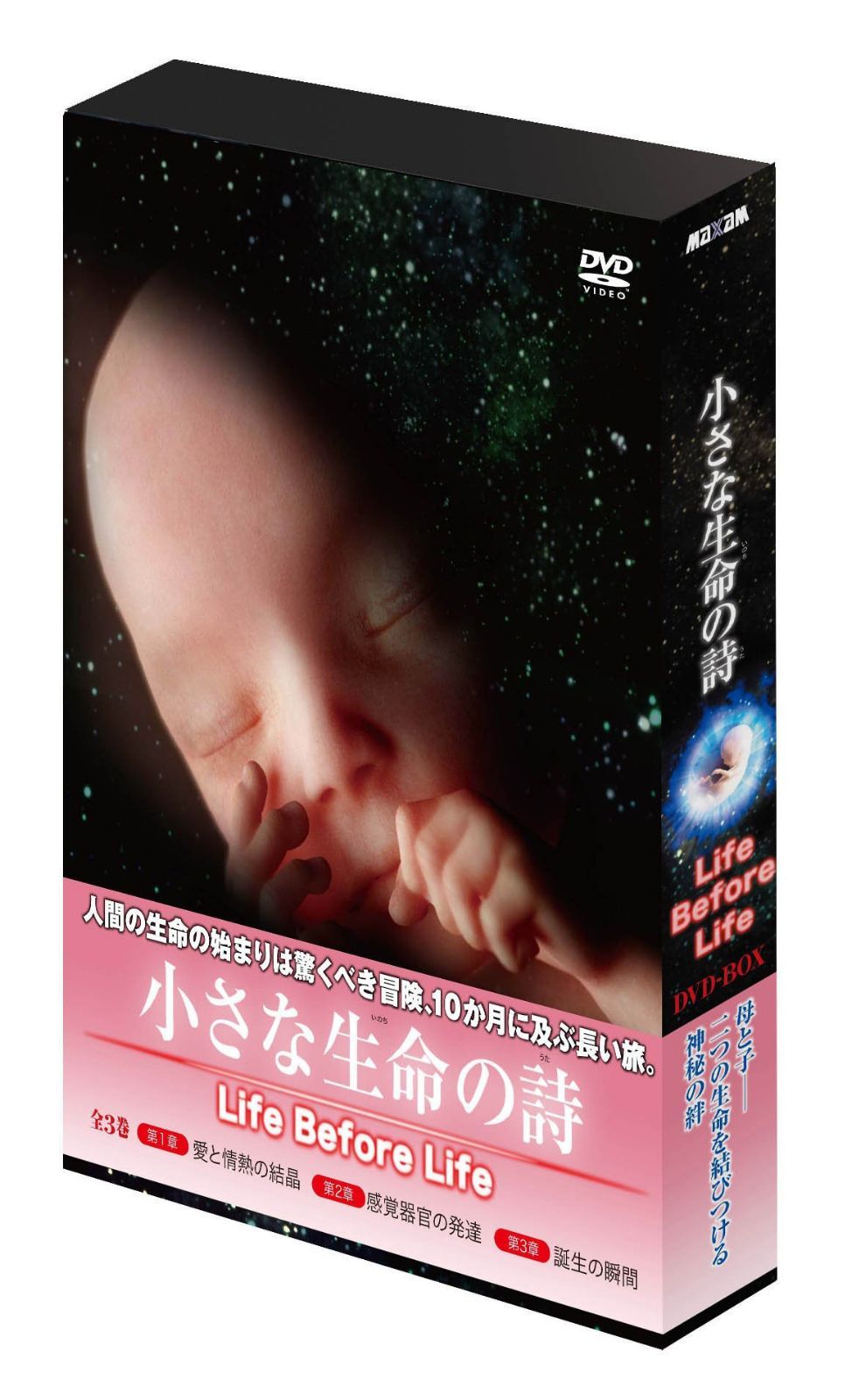 小さな生命の詩(いのちのうた)/LIFE BEFORE LIFE [DVD]