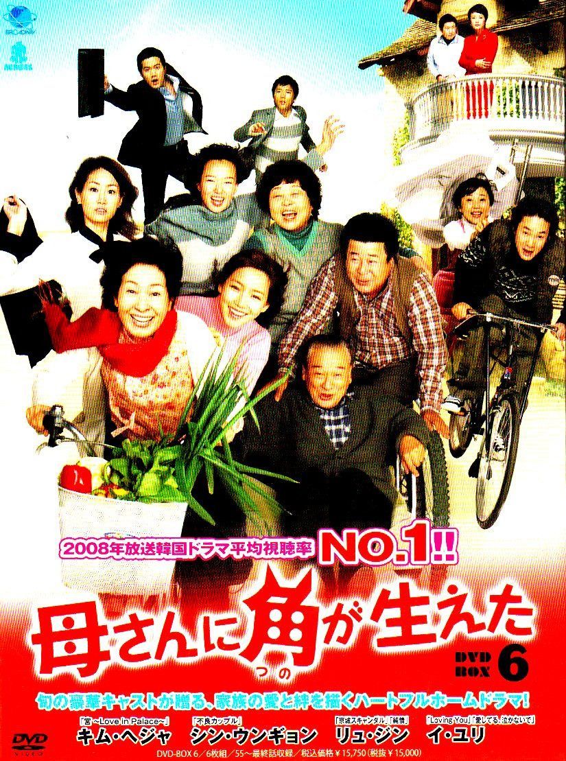 母さんに角が生えた　DVD-BOX6