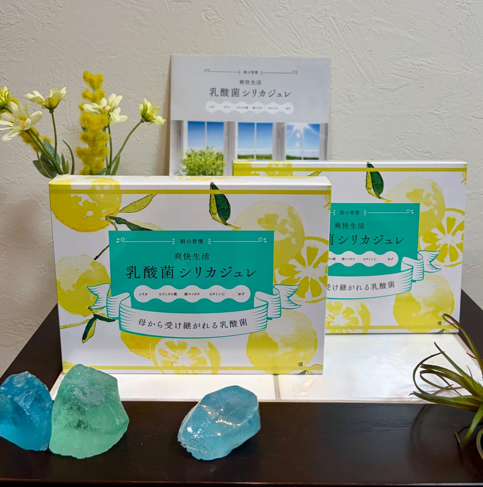 御礼！正規品 送料込【乳酸菌シリカジュレ２個セット】美容室専売品 シリカクリエーション 【全国大会イベント 初出展 御礼！今回限り数量限定イベント特別価格で販売中！】