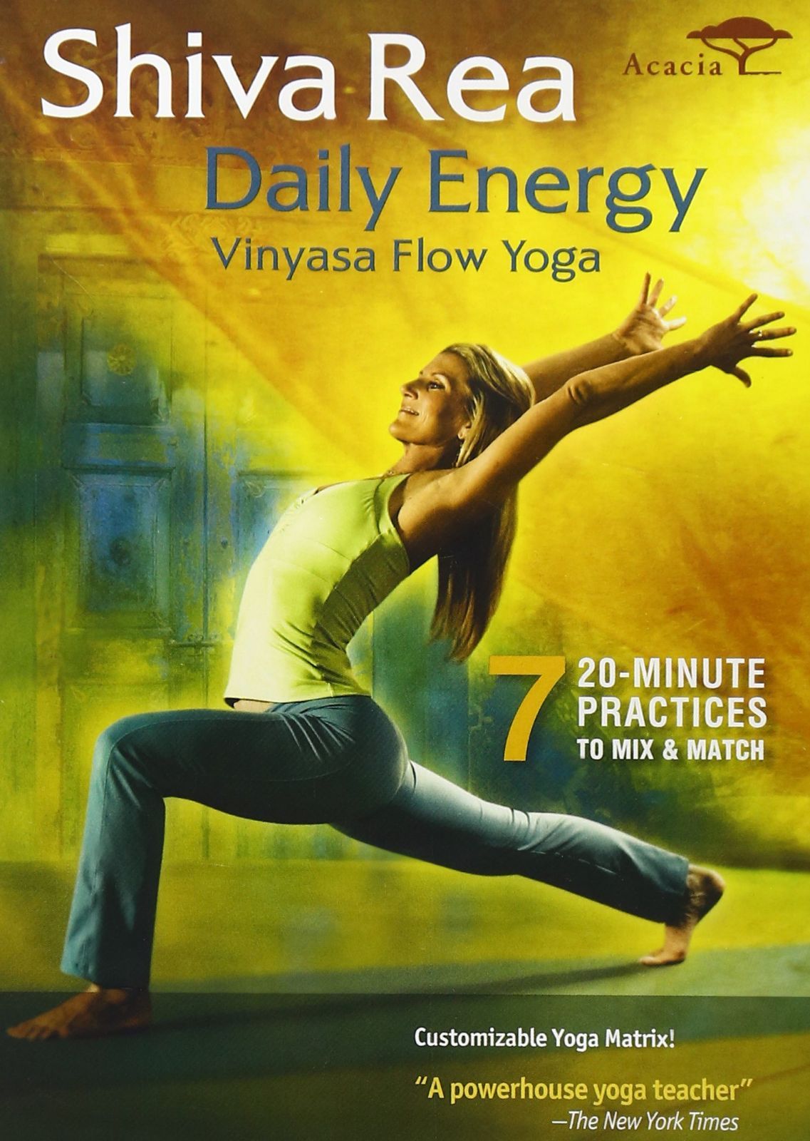 Daily Energy Flow [DVD] [Import]