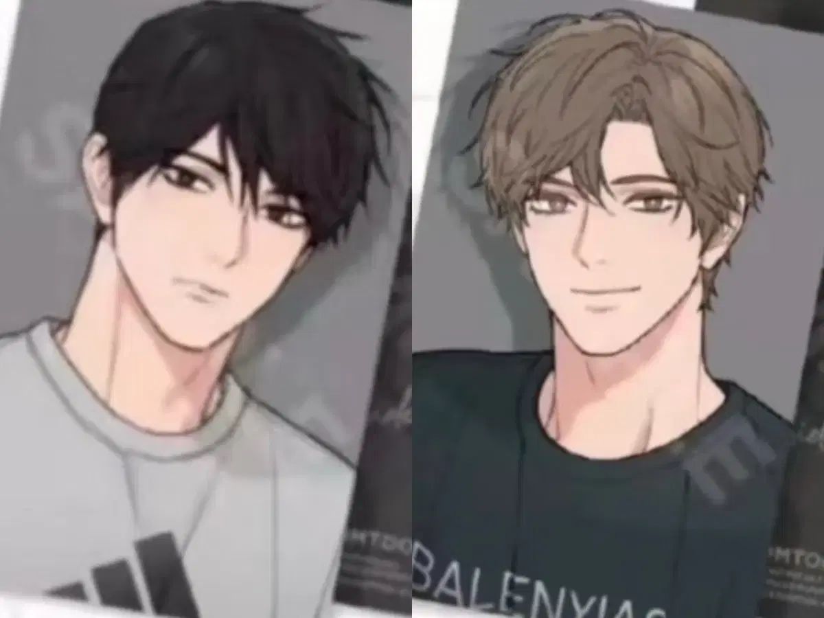 新ディスティックビューティー 外伝 アニメイト 特典 トレカ