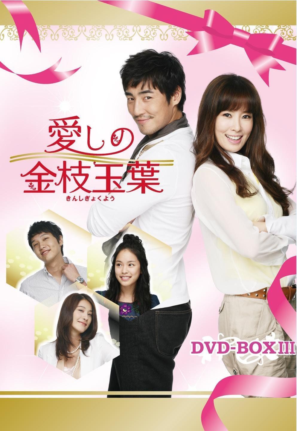 愛しの金枝玉葉 DVD-BOXIII