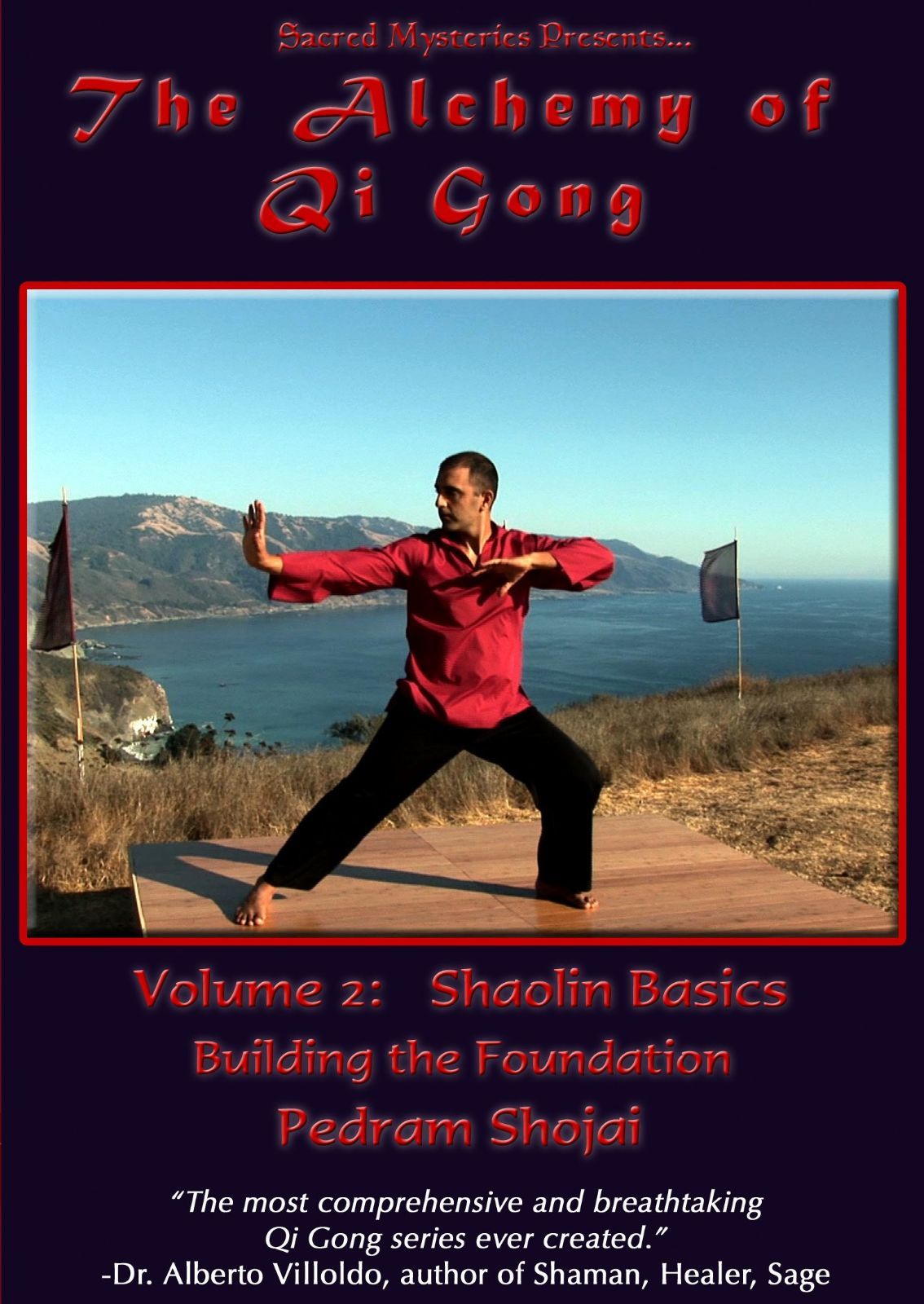 Alchemy of Qi Gong 2: Sholin Basics - Building the [DVD]