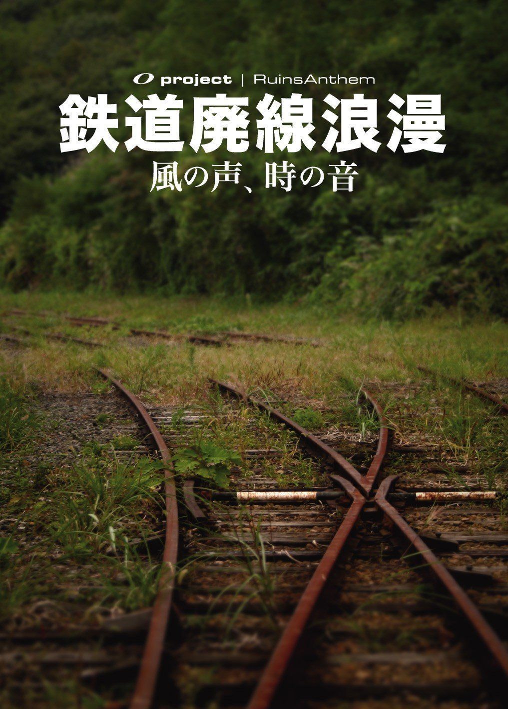 廃墟賛歌 鉄道廃線浪漫 ?風の声、時の音? [DVD]