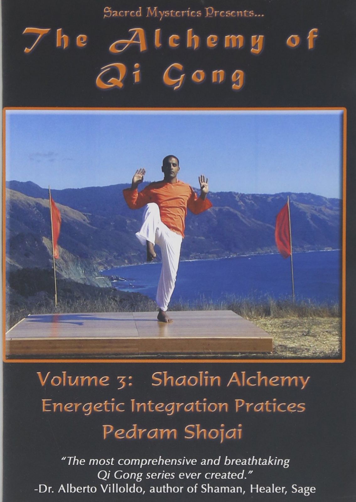 Alchemy of Qi Gong 3: Sholin Alchemy - Energetic [DVD]