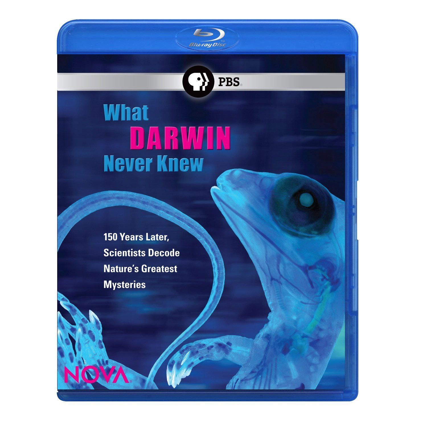 Nova: What Darwin Never Knew [Blu-ray]