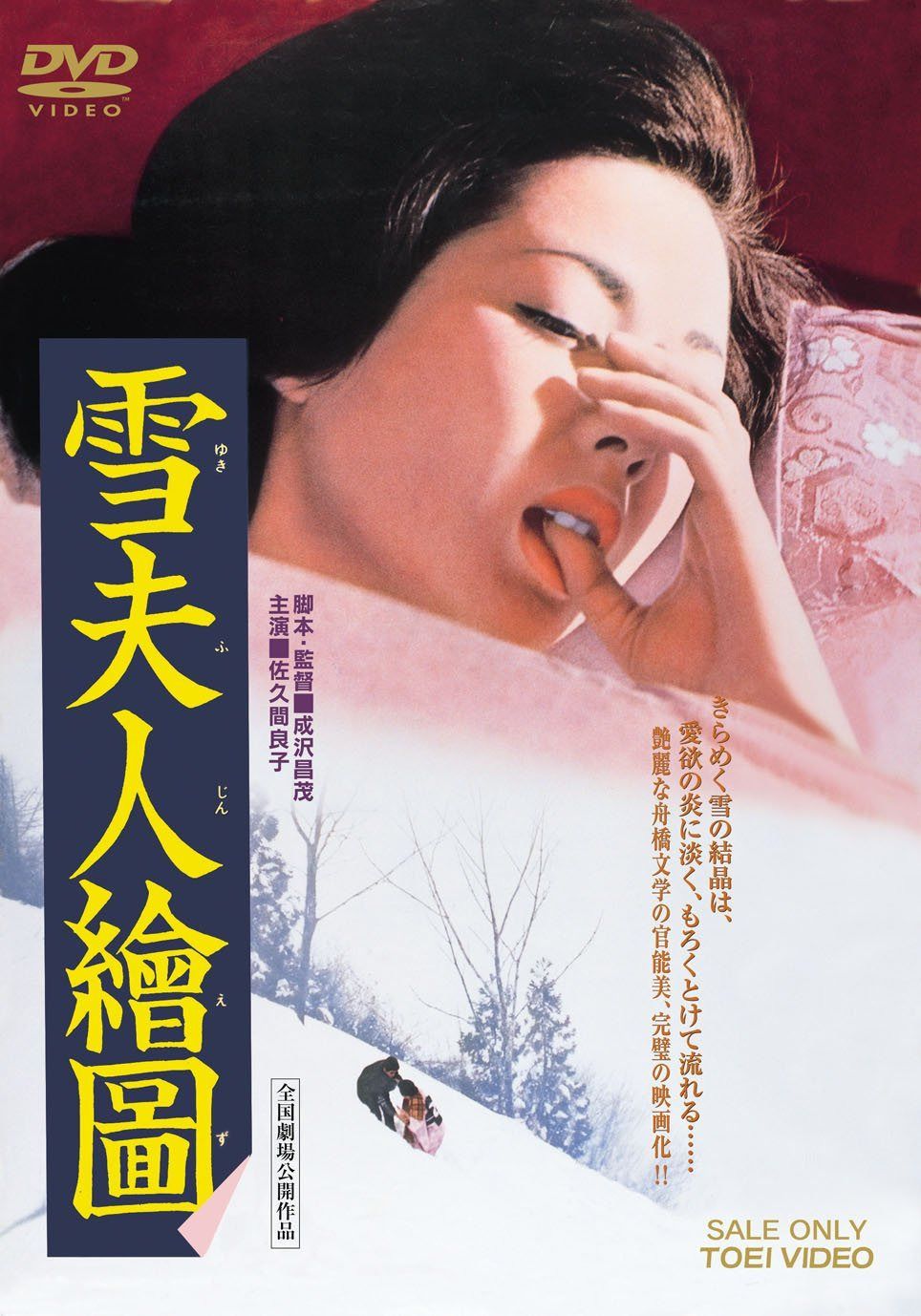 雪夫人絵図 [DVD]
