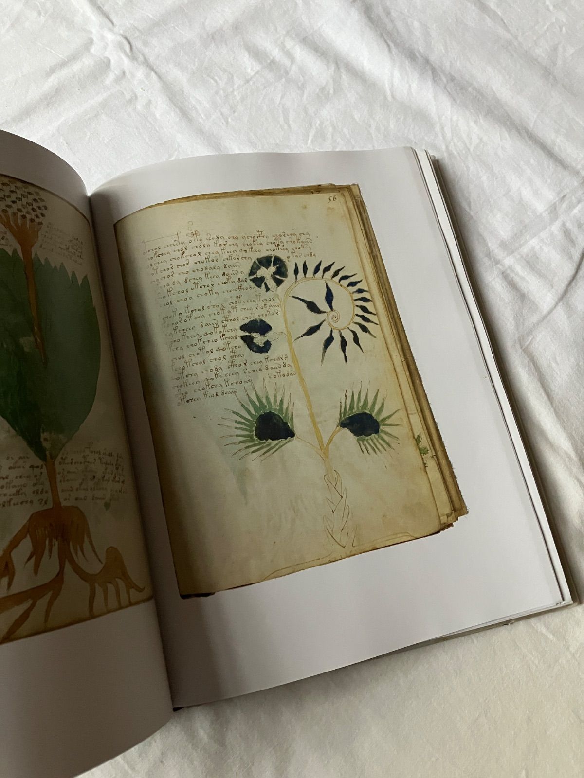 ヴォイニッチ手稿 ファクシミリ版 the voynich manuscript - メルカリ