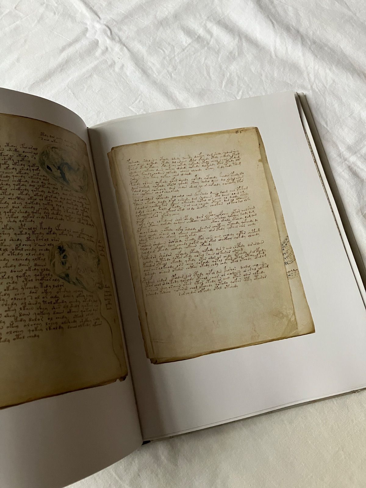 ヴォイニッチ手稿 ファクシミリ版 the voynich manuscript - メルカリ