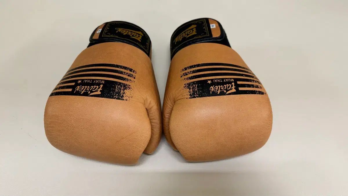 フェアテックス ボクシング キックボクシング グローブ 10オンス