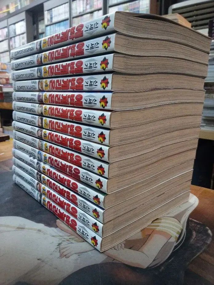 新世紀 エヴァンゲリオン 新蔵版 1 - 14 巻(完結) *上級コレクション用*