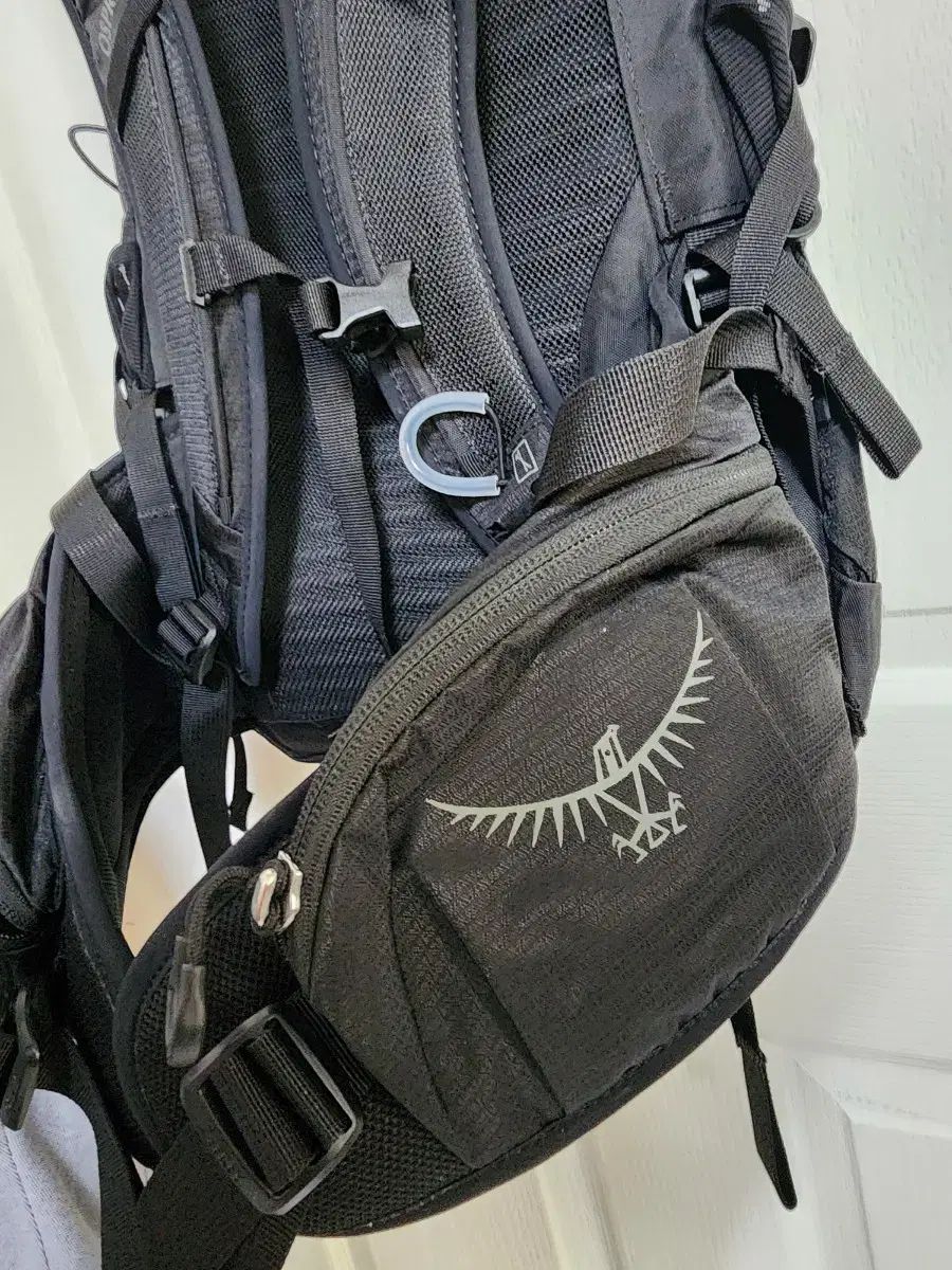 オスプレイ(OSPREY) タロン 26 バックパック ブラック 新モデル