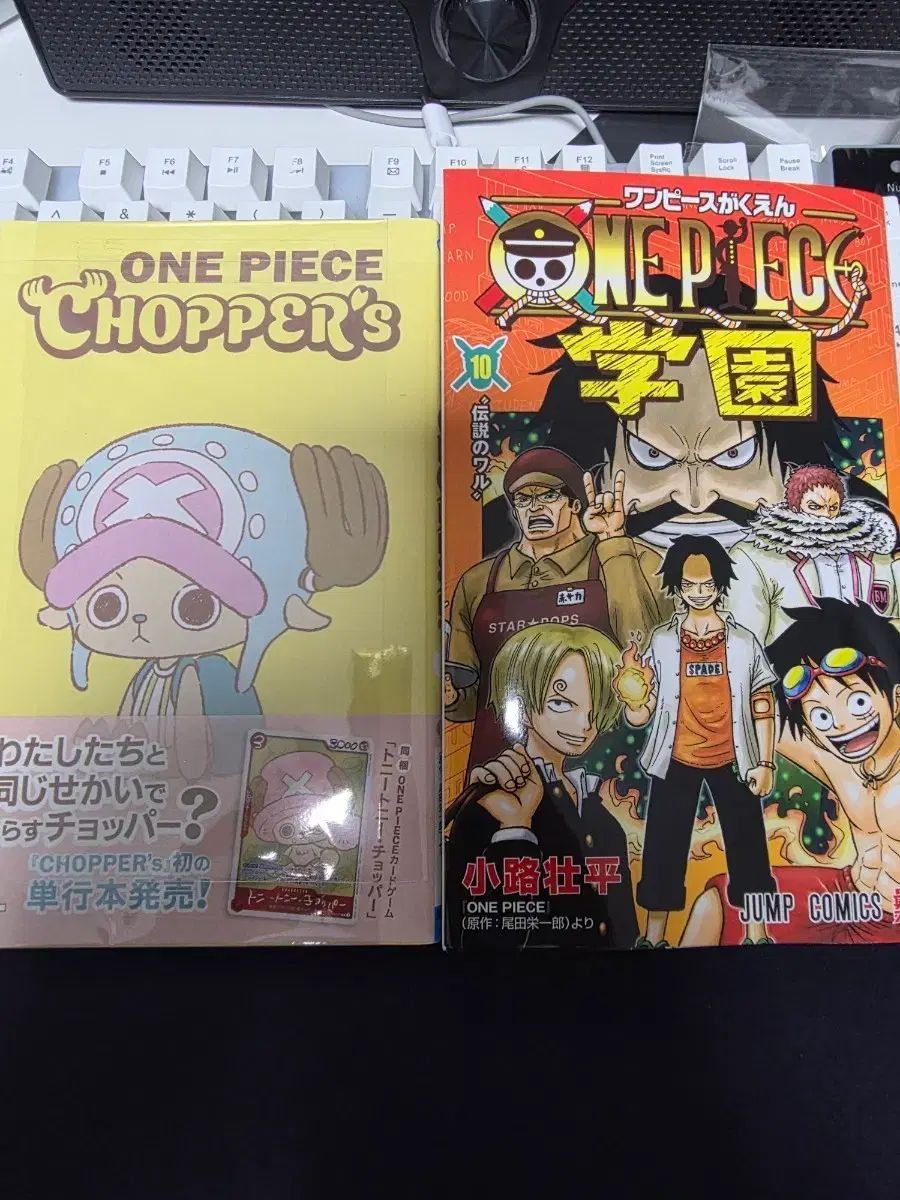 ONE PIECE トニートニー・チョッパー s 単行本 塾 10 巻 プロモ 含む