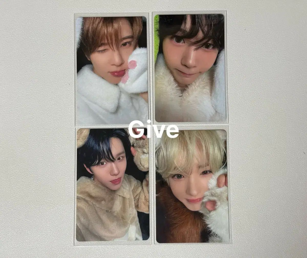 NCT WISH ウィッシュ 動物トレカ ファーリートレカ 出品