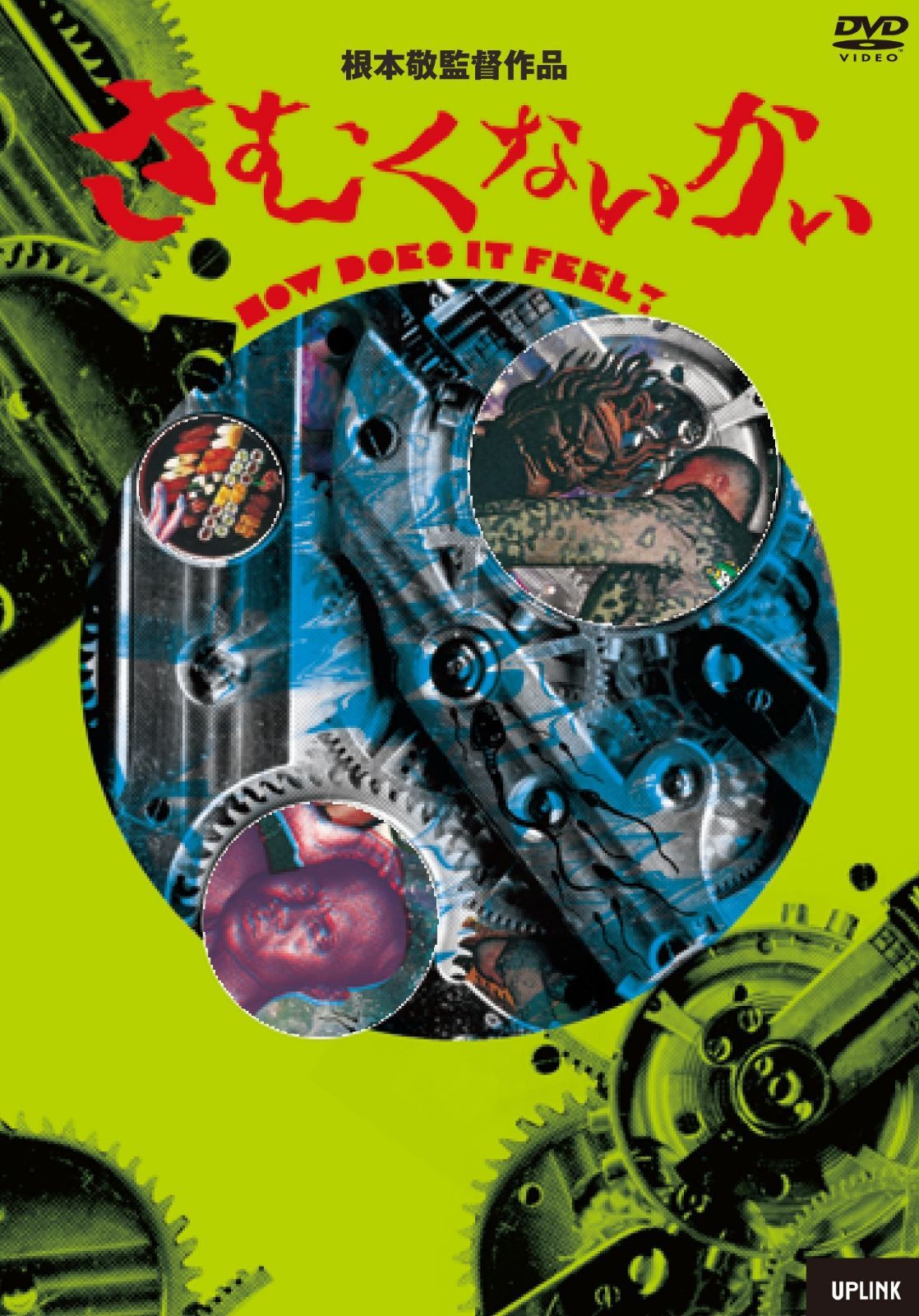 さむくないかい [DVD]