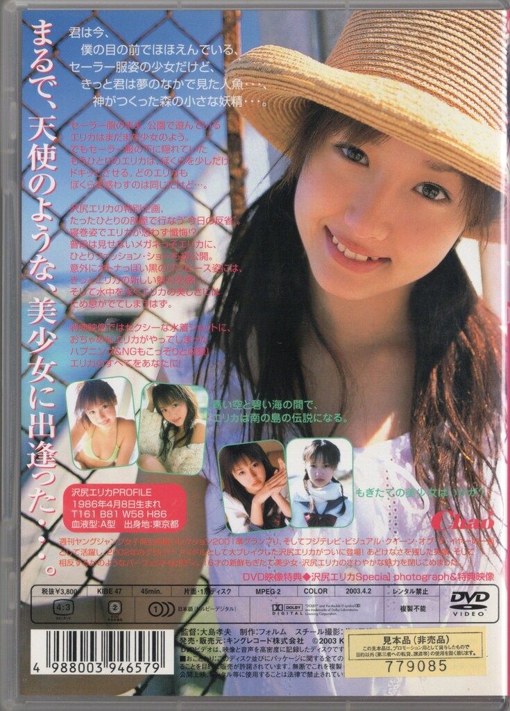 グラビアアイドルDVD 沢尻エリカ Erica - メルカリ
