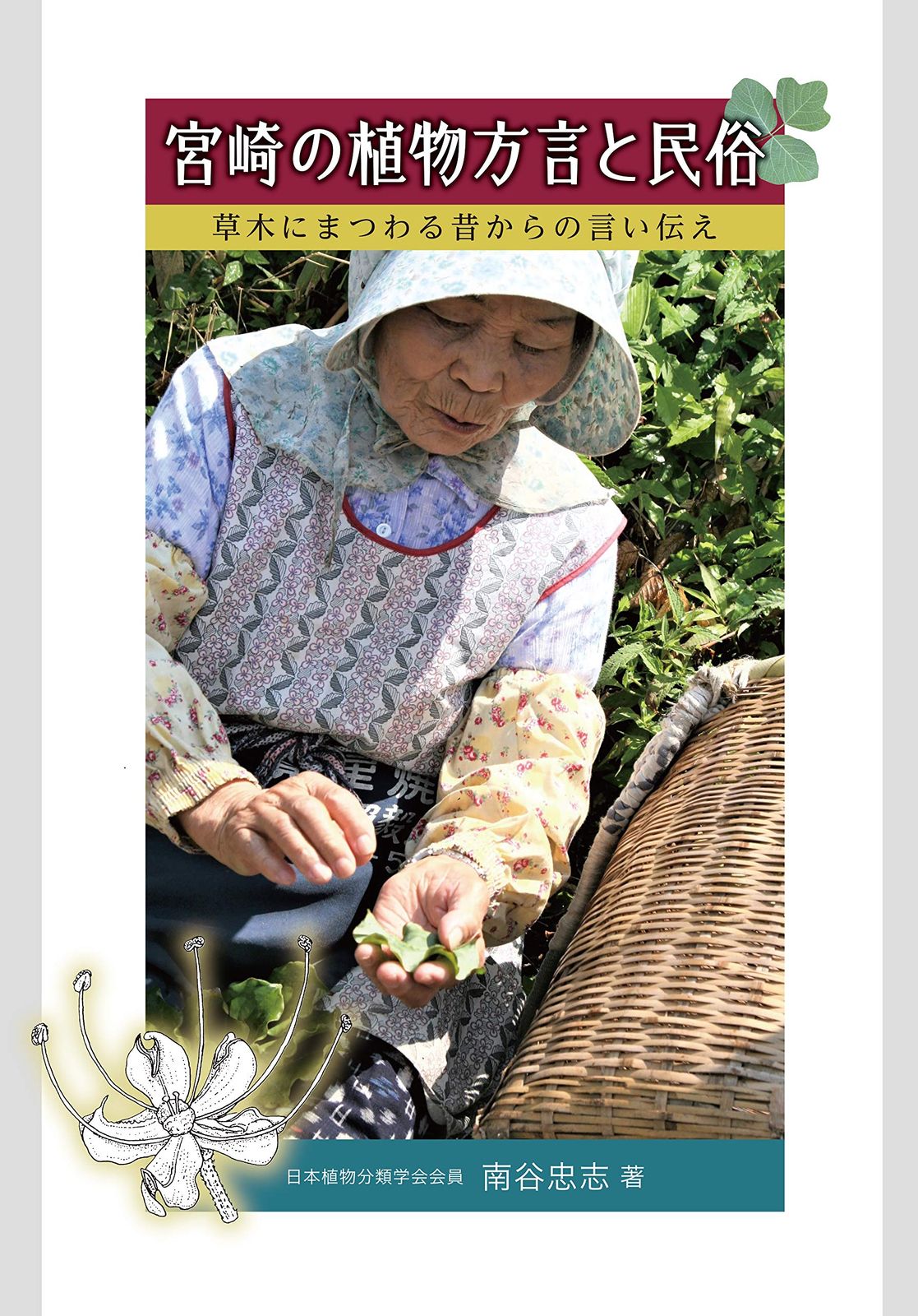宮崎の植物方言と民俗~草木にまつわる昔からの言い伝え~
