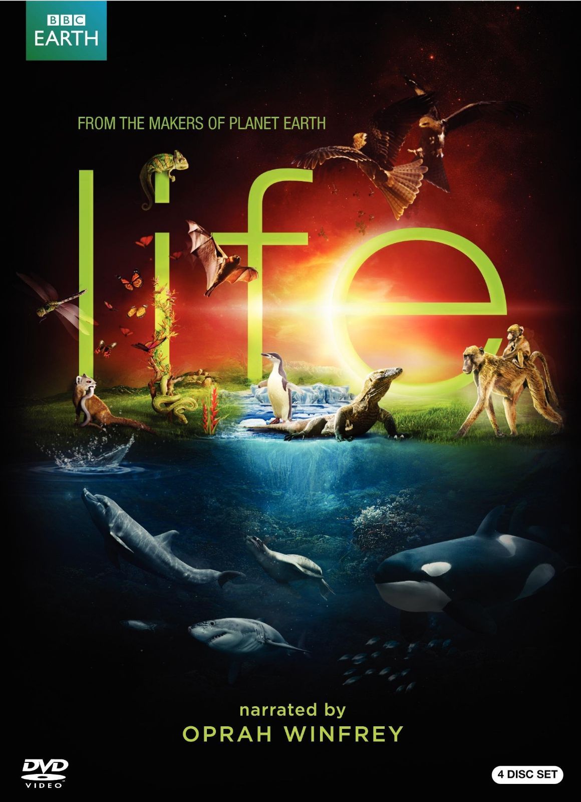 Life [DVD] [Import]