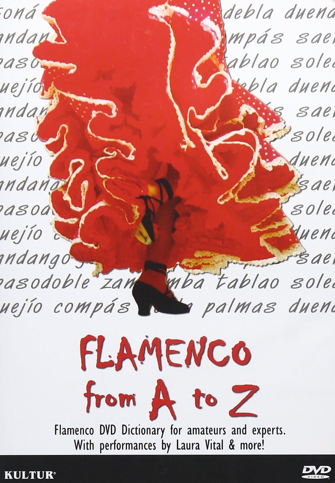 Flamenco From a to Z [DVD]