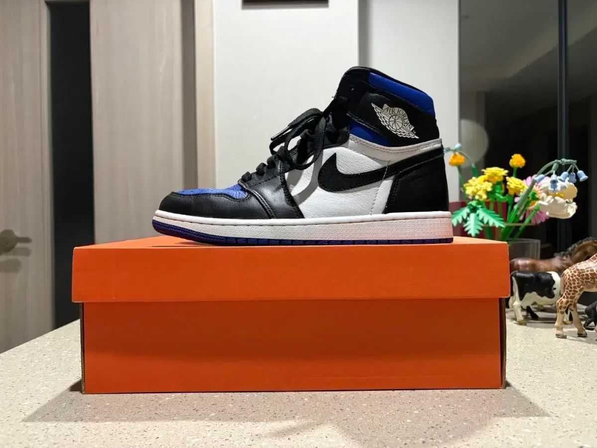 255 NIKE ジョーダン1 ハイ ロイヤルトゥ