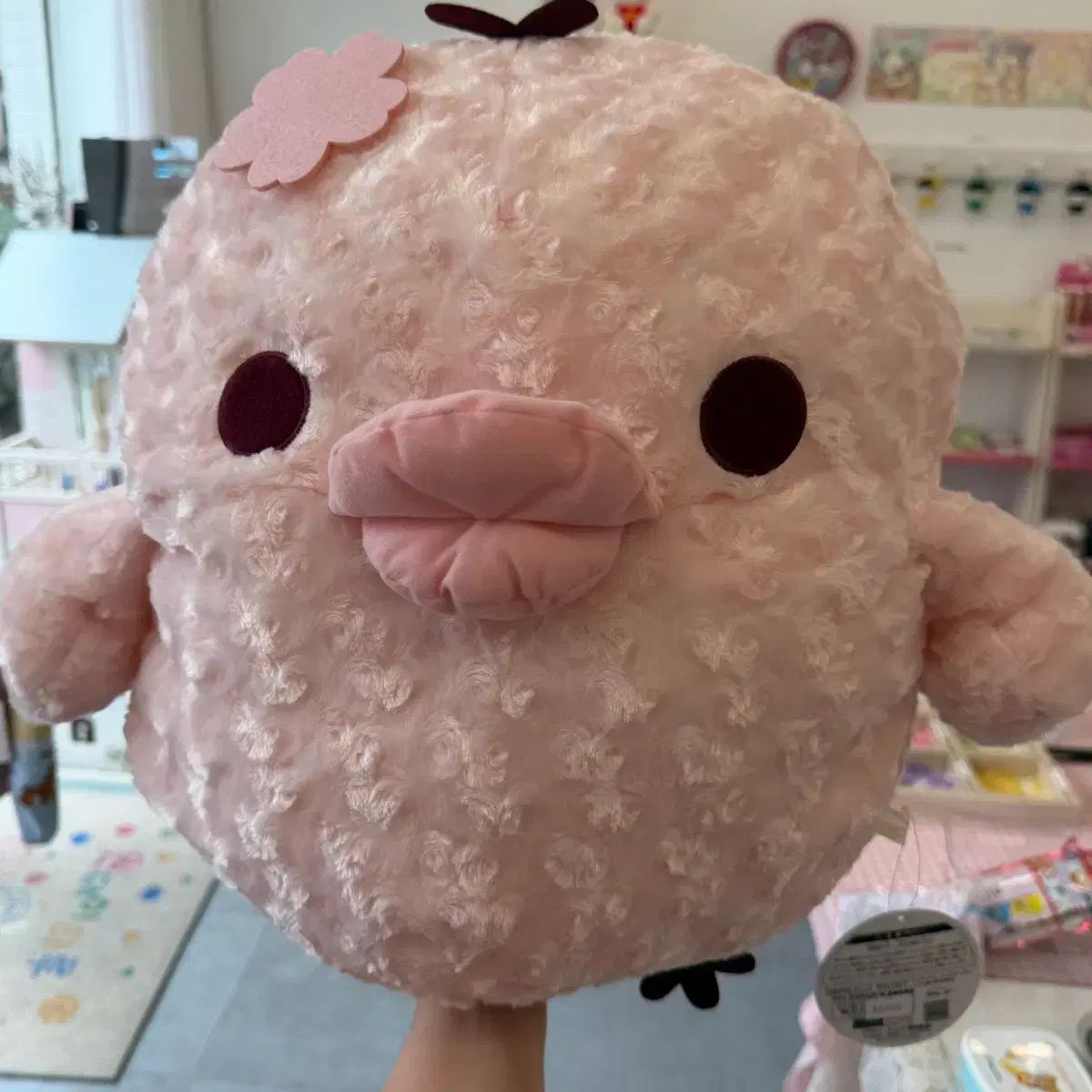 古典キーイロイトリさくらんぼ ブラッ 돼병이 (2020)