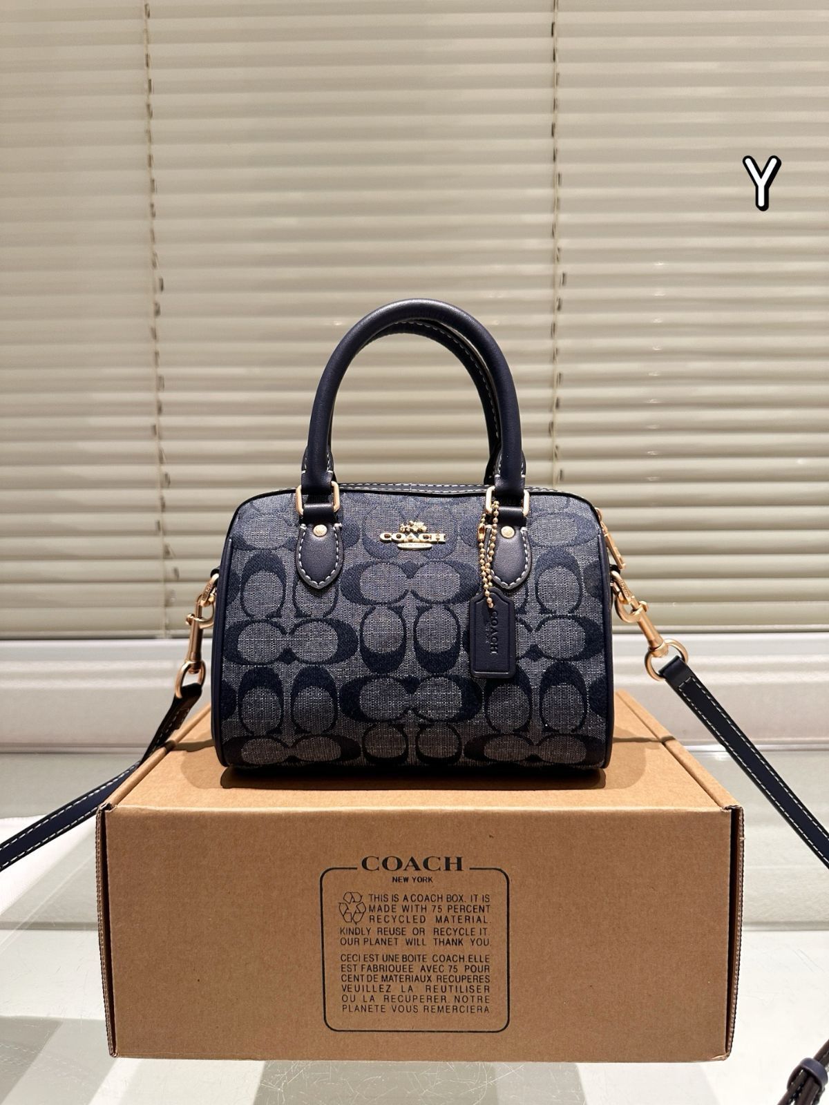 【今日特価】Coach Mini Rowan ミニローエン ピローバッグ
