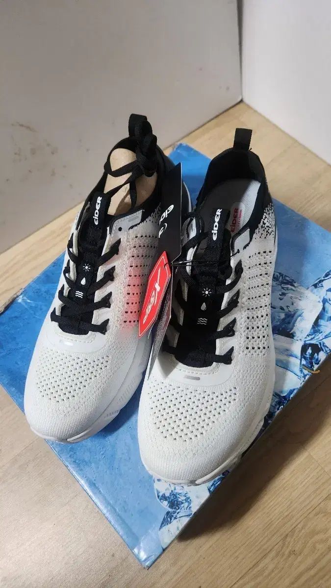 260)15万9千円 짱 涼しい 靴 EIDER アイ ス スニーカー フィット