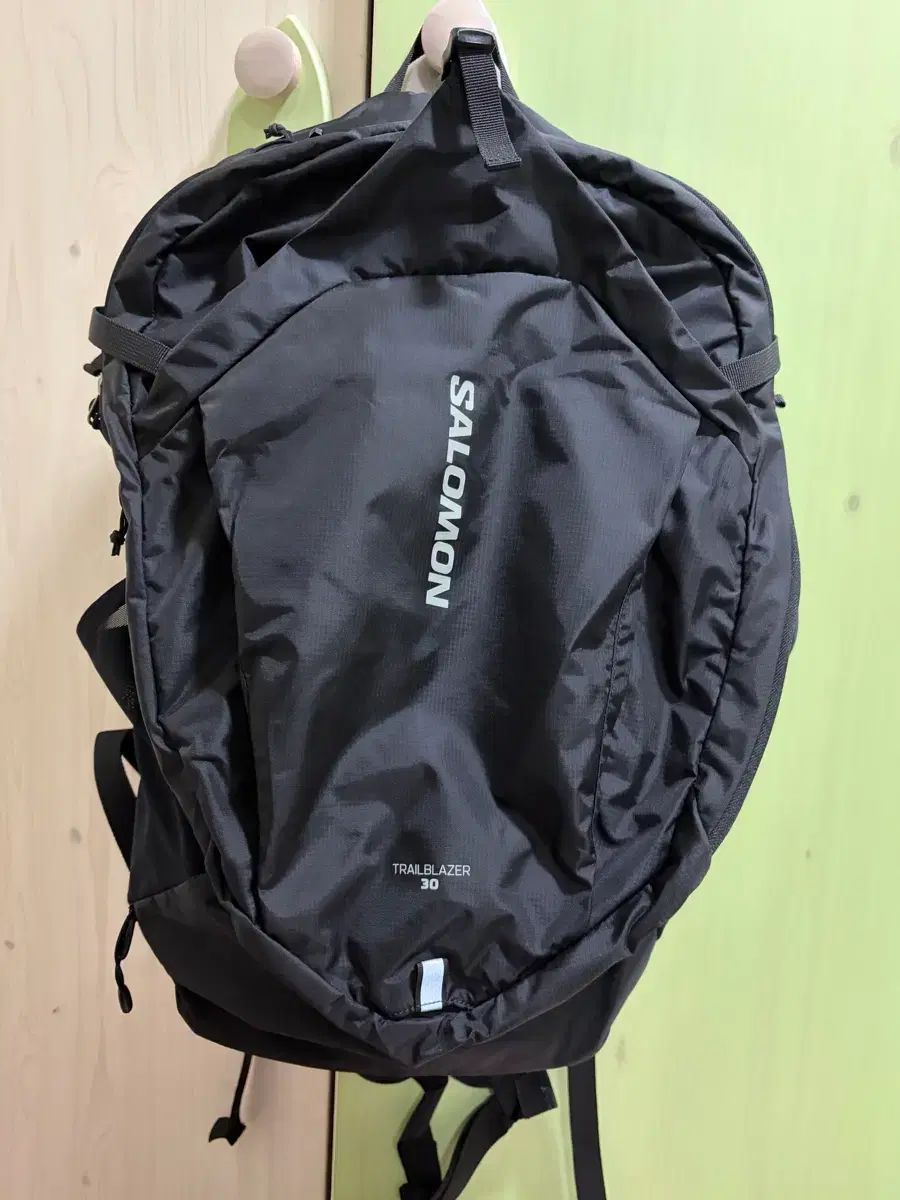 SALOMON サロモン トレイルブレーザー 30 バックパック