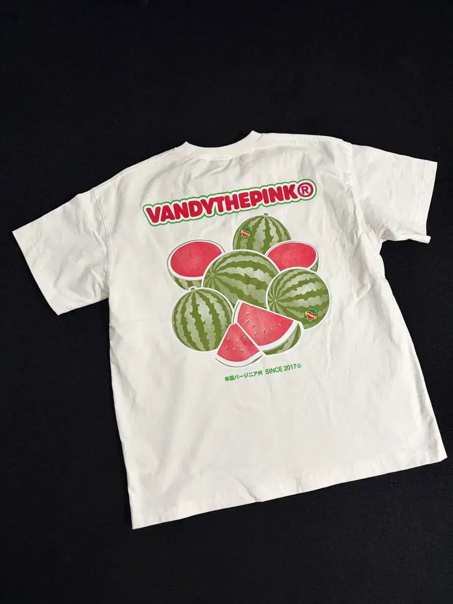 バンディダピンク 半袖T スイカ グラフィック Tシャツ